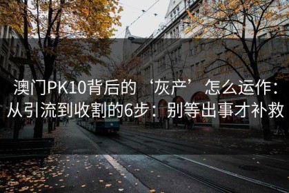 澳门PK10背后的‘灰产’怎么运作：从引流到收割的6步：别等出事才补救