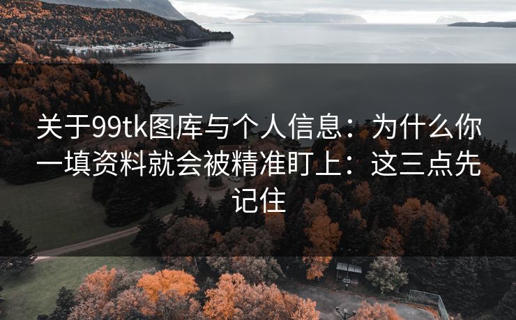 关于99tk图库与个人信息：为什么你一填资料就会被精准盯上：这三点先记住