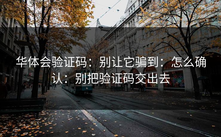 华体会验证码：别让它骗到：怎么确认：别把验证码交出去